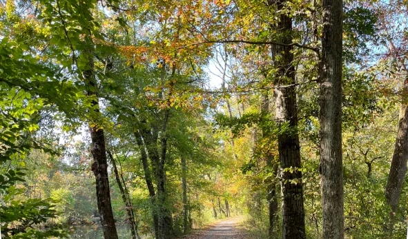 Container-e1761713921824 (1)